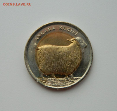 Турция 1 лира 2015 г.(Юбилейная) Фауна до 21.01.21 - DSCN5152.JPG