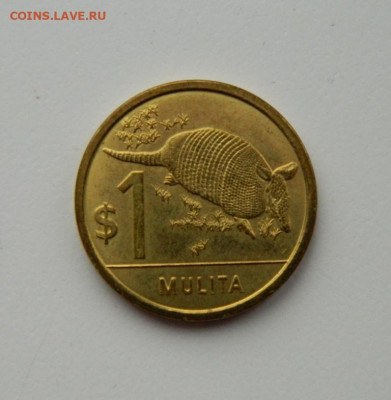 Уругвай 1 песо 2012 г. (Фауна). до 21.01.21 - DSCN5251.JPG