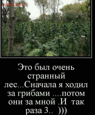 юмор - 0 a rrtq128jpg