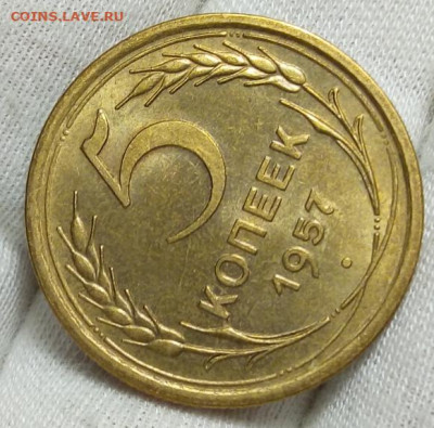 5 КОПЕЕК 1953, 56, 57 штемпельный блеск на сутки до 16.01.21 - IMG_20210114_235005