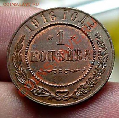 1 коп 1916 (красивая)до 04.10.11 - P1130067_thumb