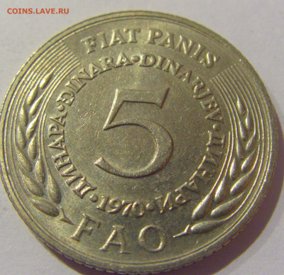 5 динар 1970 ФАО Югославия №1s 23.01.2021 22:00 М - CIMG5024.JPG