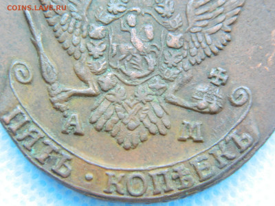 5 копеек 1794 АМ до 22.01.2021 22-00 - DSCN7078