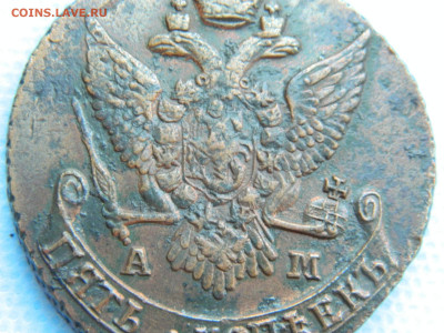 5 копеек 1791 АМ до 22.01.2021 22-00 - DSCN6997