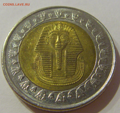 1 фунт 2010 Египет №1а 23.01.2021 22:00 М - CIMG6827.JPG