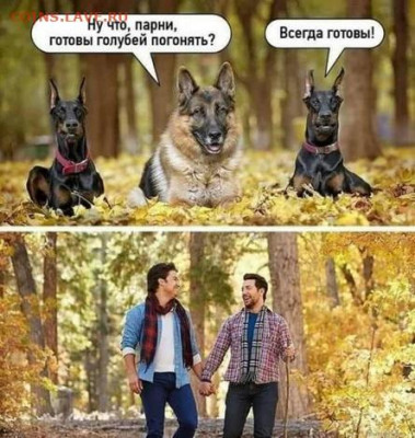 юмор - 121