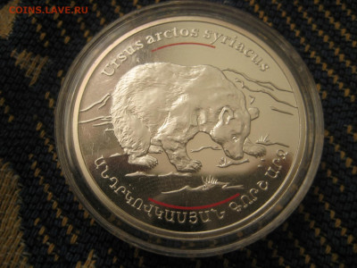 100 драм Армения. Сирийский медведь. - IMG_2576.JPG