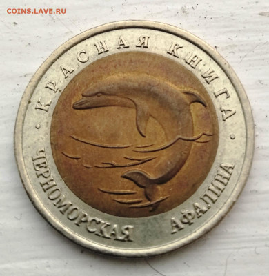 Красная книга Афалина 50 руб 1993 года.до 20.01.21 в 22:00 - IMG_20210118_125012