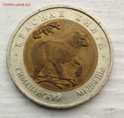 Красная книга Медведь 50 руб 1993 года.до 20.01.21 в 22:00 - IMG_20210118_124833