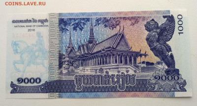 КАМБОДЖА,1000 риэлей 2016г до 22.01.22021г - IMG_20210117_122902_HDR