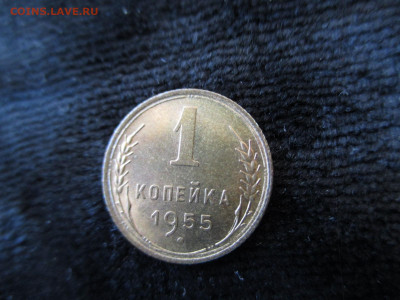 1 копейка 1955 .Блеск.  22.01 - IMG_1555.JPG