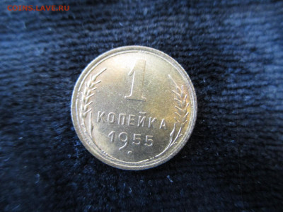 1 копейка 1955 .Блеск.  22.01 - IMG_1554.JPG