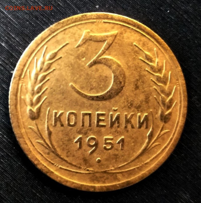 Помогите определить разновидность. - IMG_20210119_113828