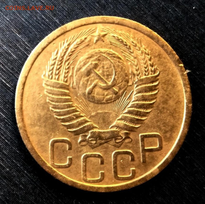 Помогите определить разновидность. - IMG_20210119_113849