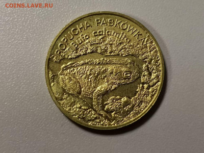 Польша 2 злотых 1998г -Камышовая жаба, до 26.01 - Я Польша Жаба-1