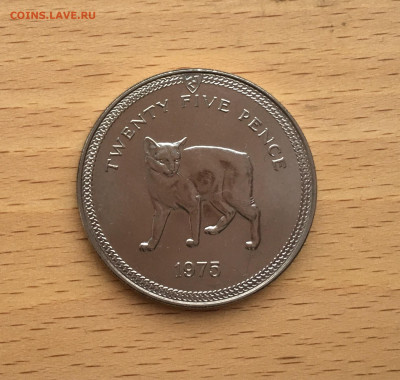 Крона Шайба Остров Мэн 25 пенсов 1975 Кошка кот Мэнкс фауна - IMG_0496.JPG