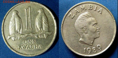 Замбия 1 квача Год 1989 Окончание:28-01 В 22-00 мск - замб 1 квач