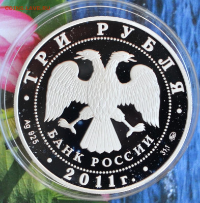 3 рубля год Кролика - DSC_0072.JPG