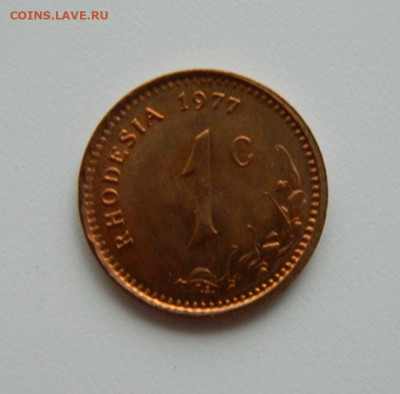 Британская  Родезия 1 цент 1977 г. до 28.01.21 - DSCN5405.JPG
