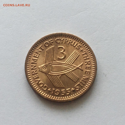 Кипр 3 миля, 1955г - image-22-01-21-02-48-1