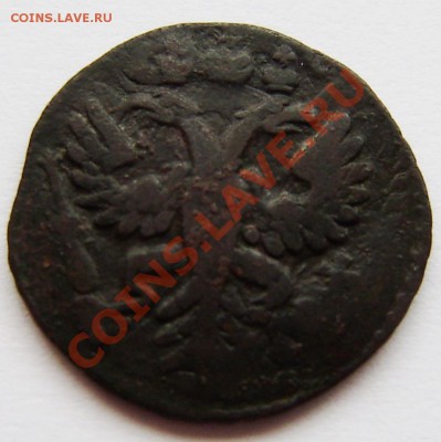 Полушки: 1730, 1731, 1734, 1735 -5 шт., 1748г. - P9080002.JPG