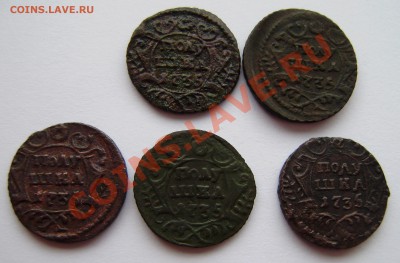 Полушки: 1730, 1731, 1734, 1735 -5 шт., 1748г. - P9080007.JPG