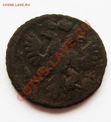 Полушки: 1730, 1731, 1734, 1735 -5 шт., 1748г. - P9080006.JPG