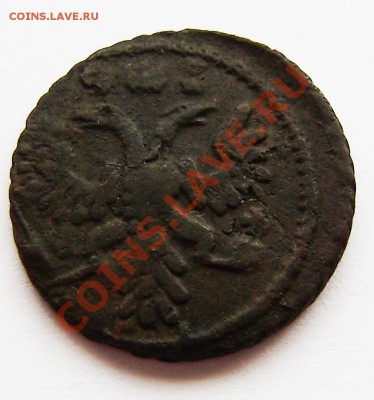 Полушки: 1730, 1731, 1734, 1735 -5 шт., 1748г. - P9080005.JPG