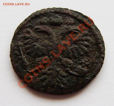 Полушки: 1730, 1731, 1734, 1735 -5 шт., 1748г. - P9080003.JPG
