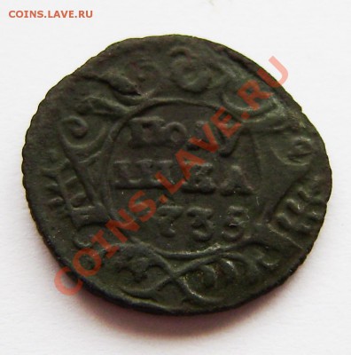 Полушки: 1730, 1731, 1734, 1735 -5 шт., 1748г. - P9080008.JPG