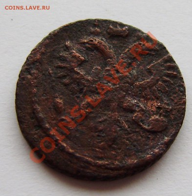 Полушки: 1730, 1731, 1734, 1735 -5 шт., 1748г. - P9080007.JPG