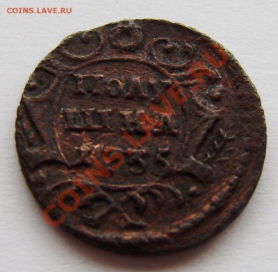 Полушки: 1730, 1731, 1734, 1735 -5 шт., 1748г. - P9080006.JPG