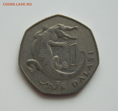 Гамбия 1 даласи 1987 г. (Фауна) до 28.01.21 - DSCN5521.JPG