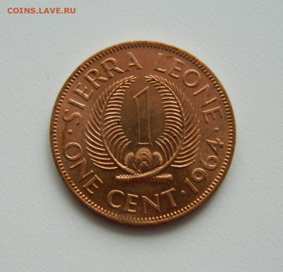 Сьерра-Леоне 1 цент 1964 г. до 28.01.21 - DSCN5502.JPG