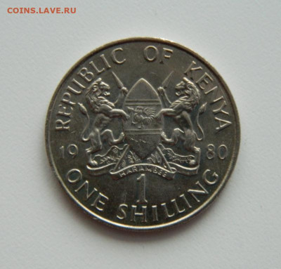 Кения 1 шиллинг 1980 г. до 28.01.21 - DSCN5534.JPG