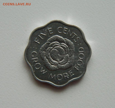 Британские Сейшельские острова 5 центов 1972 г.(ФАО)до 28.01 - DSCN5525.JPG