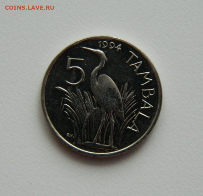 Малави 5 тамбала 1994 г. (Фауна) до 28.01.20 - DSCN5519.JPG
