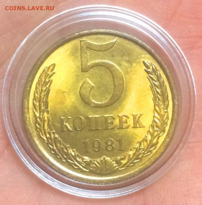 5 копеек1981 UNC - IMG_5169.JPG