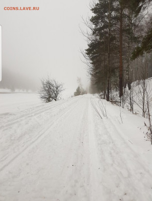 ФОТО - просто фото. Те что получились удачными. - Screenshot_20210124-102439_Gallery