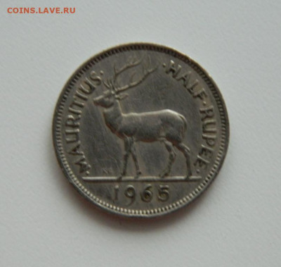 2 рупии 1965 г. (Фауна) до 28.01.21 - DSCN5615.JPG