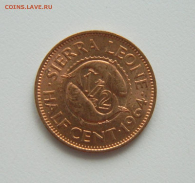 2 цента 1964 г.(Рыбы)  до 28.01.21 - DSCN5663.JPG