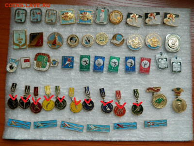 Спорт по 20 фикс до 27.01 - DSCN0841_thumb