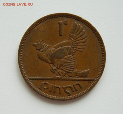 Ирландия 1 пенни 1949 г. (Фауна). до 28.01.21 - DSCN5713.JPG