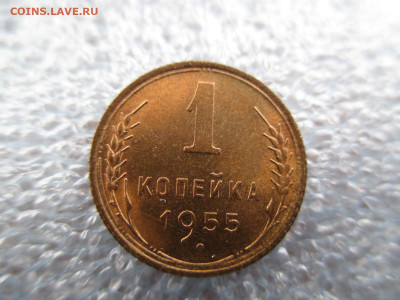 1 копейка 1955 .Блеск.  28.01 - IMG_2051.JPG