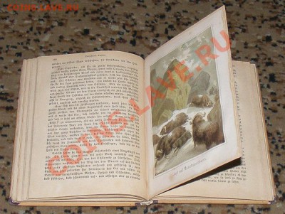 Книги иностранные (старые) - DSCF1379