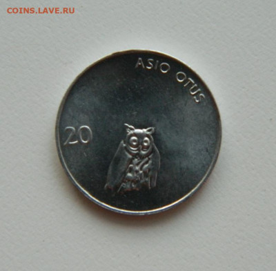 Словения 20 стотинов 1993 г. (Сова) без обращен. до 01.02.21 - DSCN5861.JPG