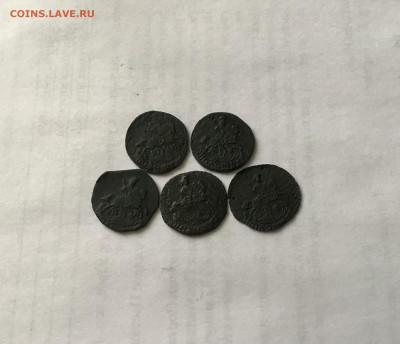 5-Полушек кони КМ.Завершение:28.01.2021г по МСК:22-00 - 1EEB7DA9-24DB-4A42-B9D3-DDF2C8894B59