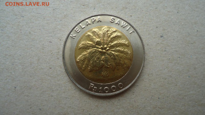 ИНДОНЕЗИЯ 1000 РУПИЙ 1993 БИМЕТАЛЛ - DSC09687.JPG