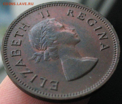 Британская Южная Африка Полпенни 1954 Елизавета Отл! до 3.02 - SAfrica_1-2d_1954-3
