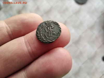 Полушка сибирь 1771 до 02.02.2021 - 1771 (13) - копия